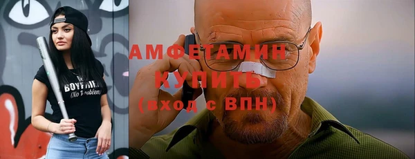гидра Арсеньев