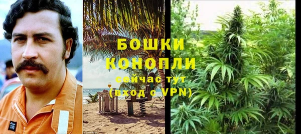 гидра Арсеньев